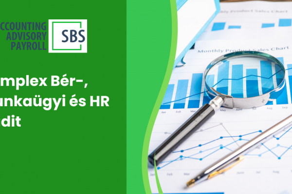 Miért Fontos a Komplex Bér-, Munkaügyi és HR Audit 2025-ben?